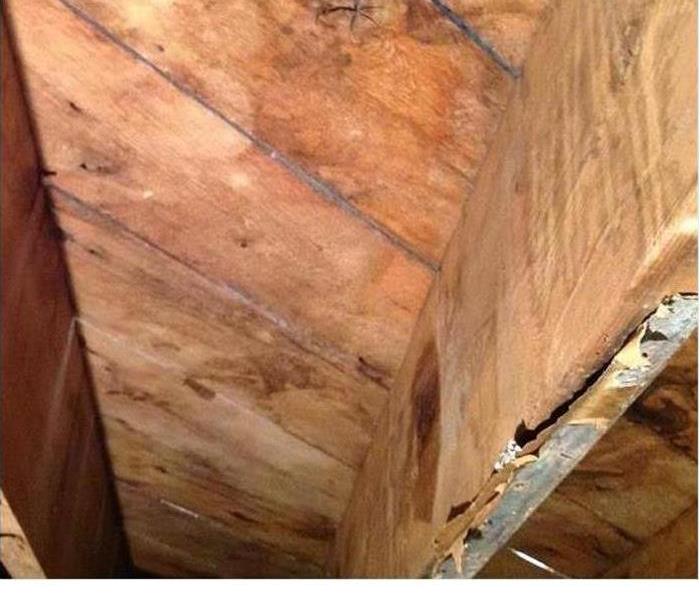 wood flooring with the mold remediated 